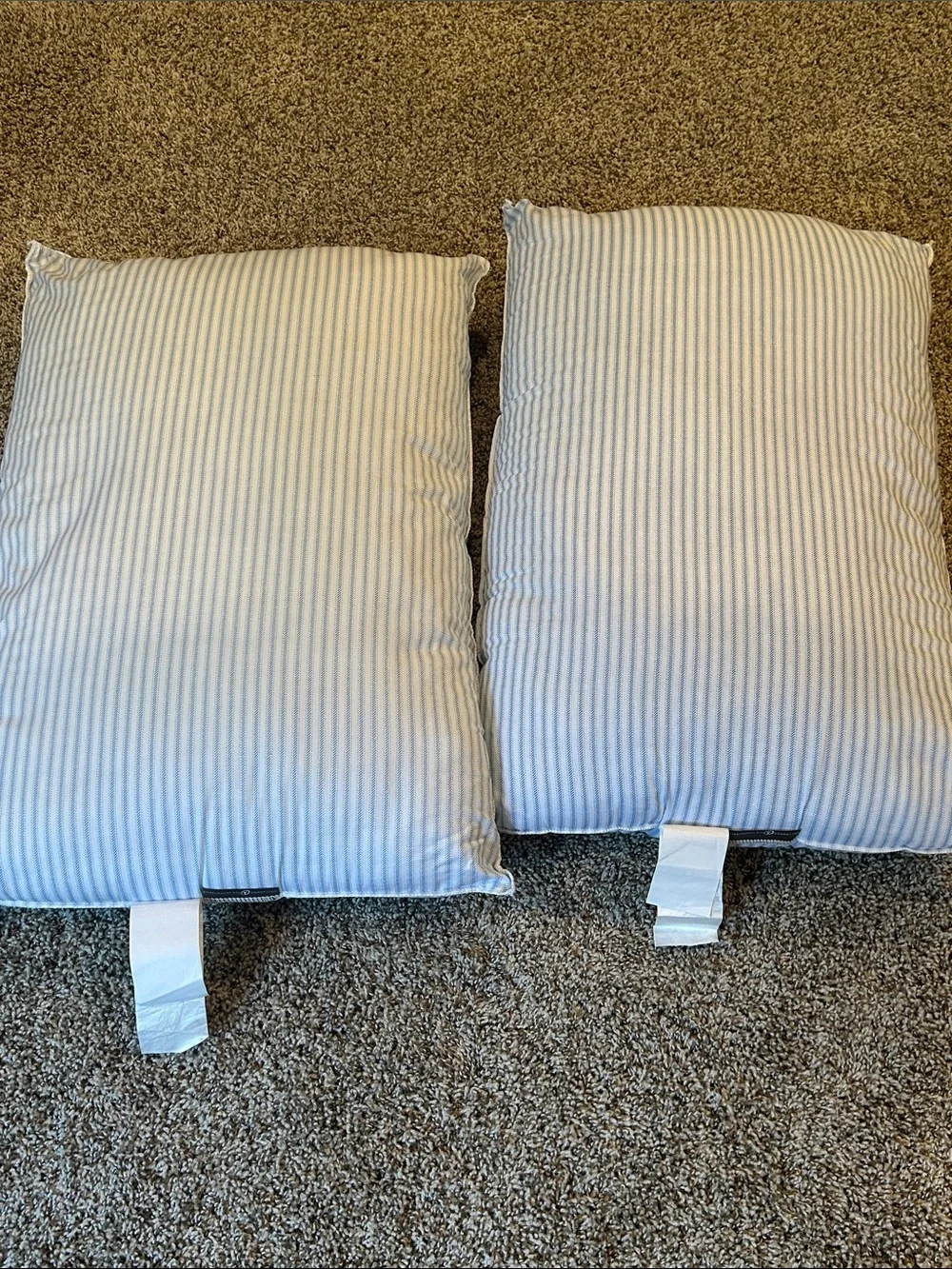 Hollander Live Comfortably Pillows 20x28 - Standard/Queen Set of 2